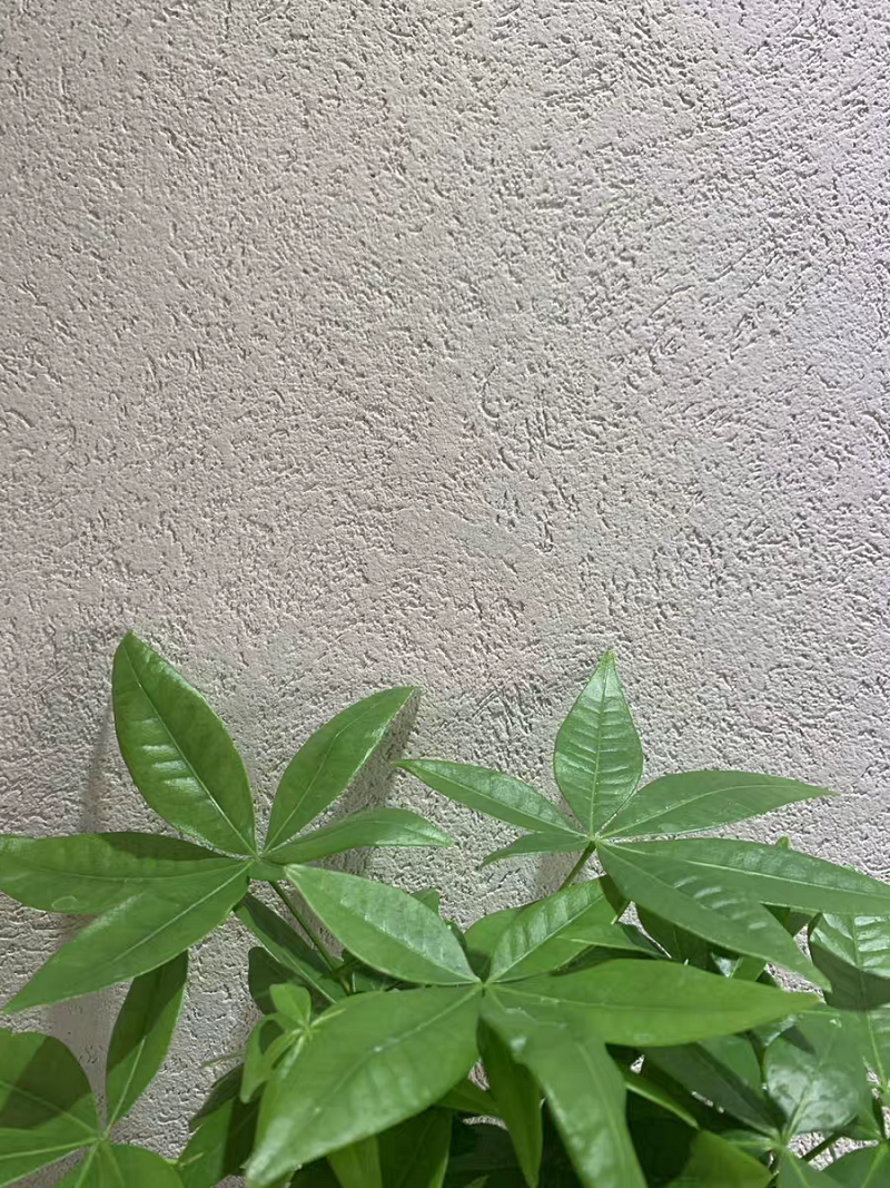 萬磊雅晶石  內(nèi)附施工視頻，史上最全的雅晶石全攻略收錄