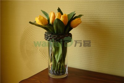 有了硅藻泥，新房入住不再等！