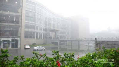 驚蟄過，春雨至，硅藻泥讓你告別濕轆轆